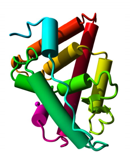 BSA Conjugated Heparin (Hep) - 50ug