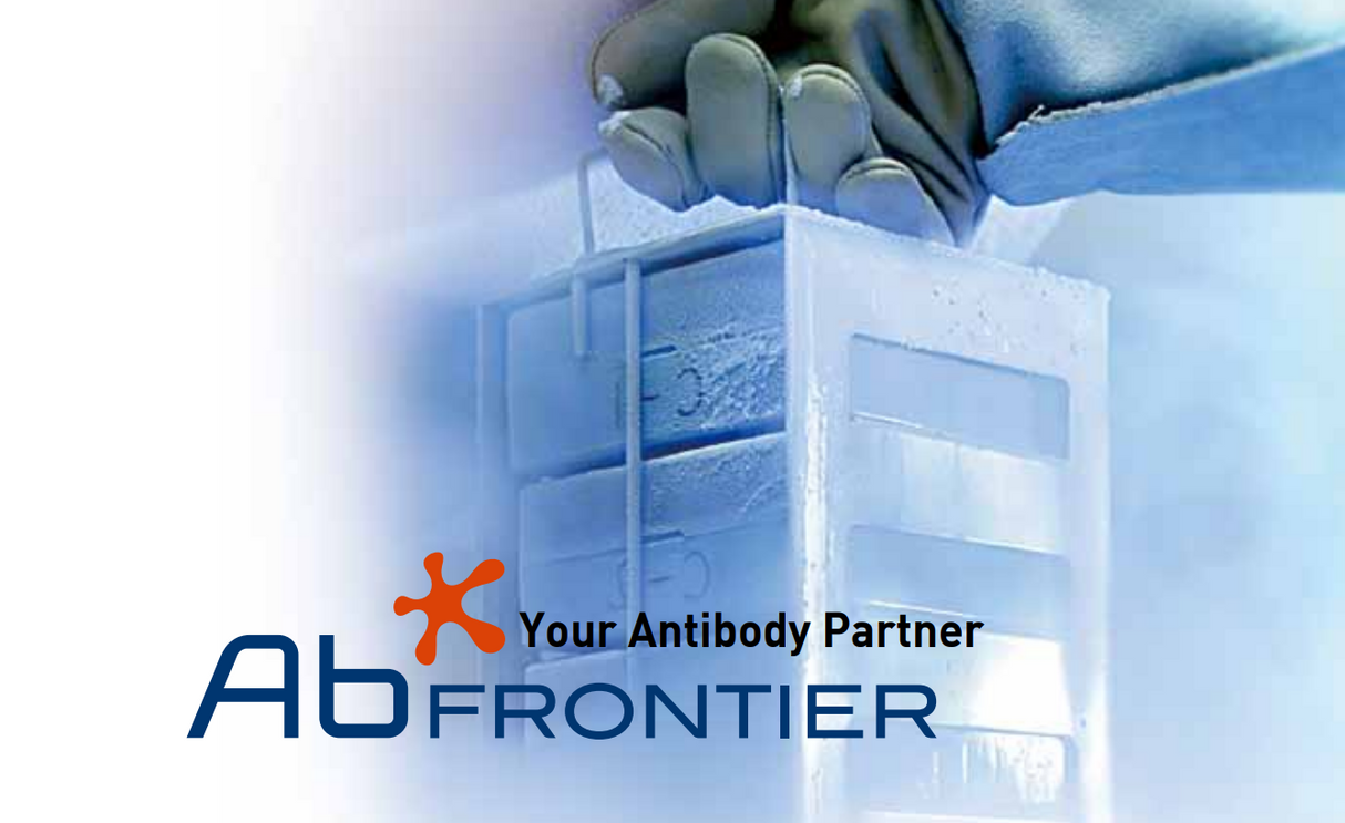 Magic™ Anti-Norovirus Monoclonal antibody, Clone N090603 - 200ug